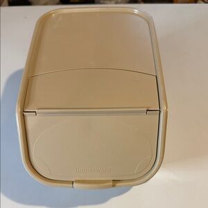 Tupperware Tan Storage Box